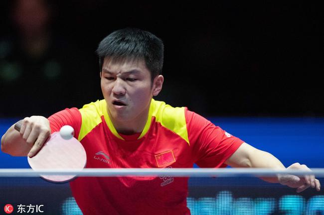 有年轻的羽 有年轻的羽