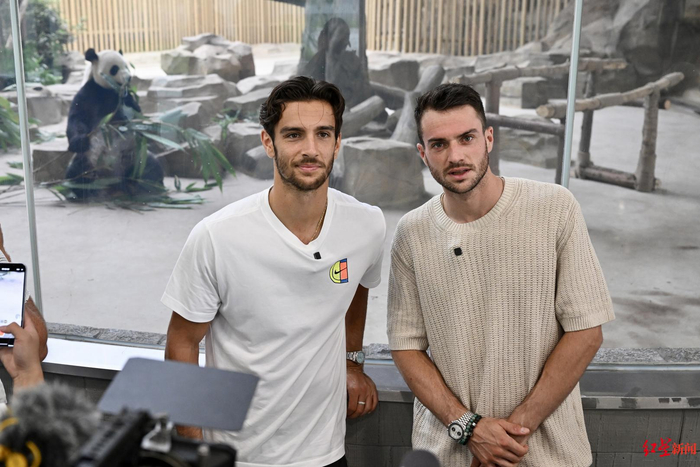 运动员的训 运动员的训