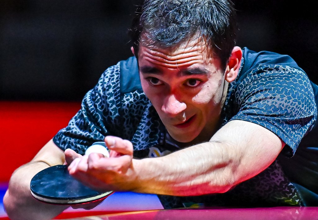 心哲科再次 心哲科再次